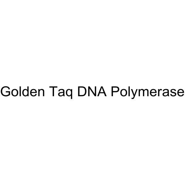 Golden Taq DNA Polymerase